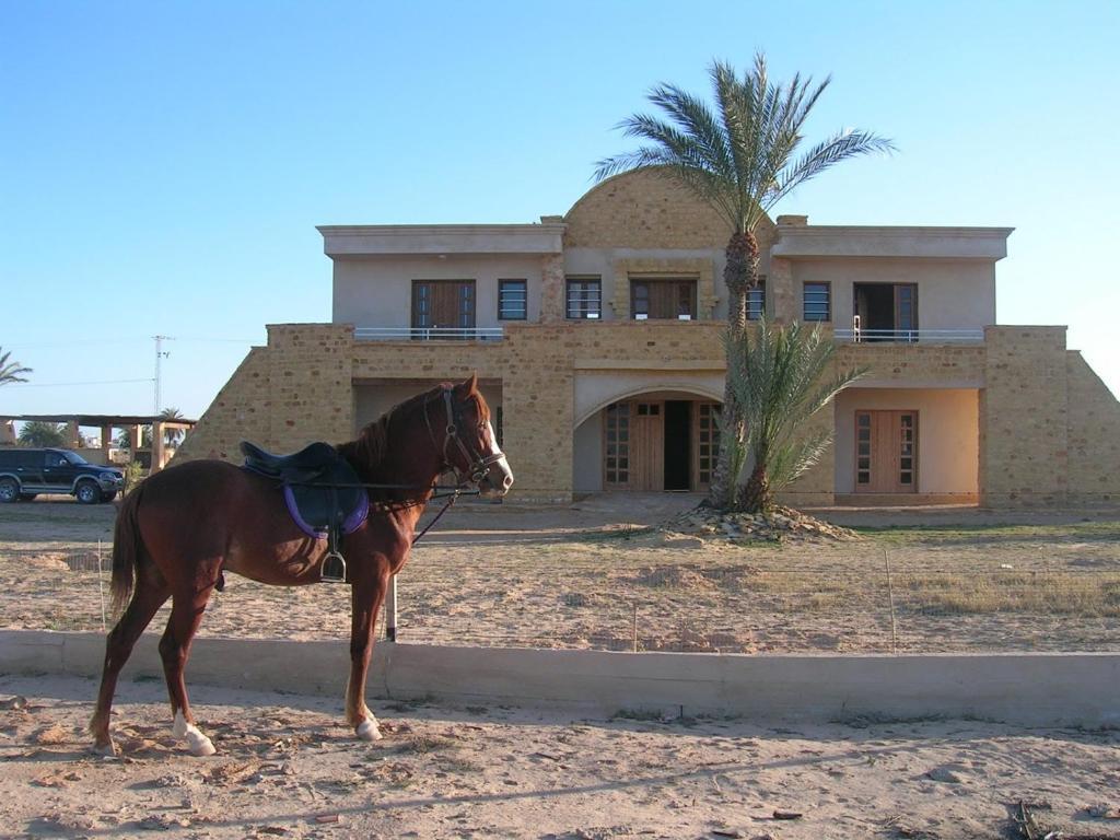 Hotel Bella Djerba Houmt Souk  Exteriér fotografie